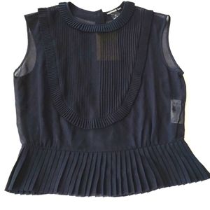 Vivienne Tam Sheer Pleated Top